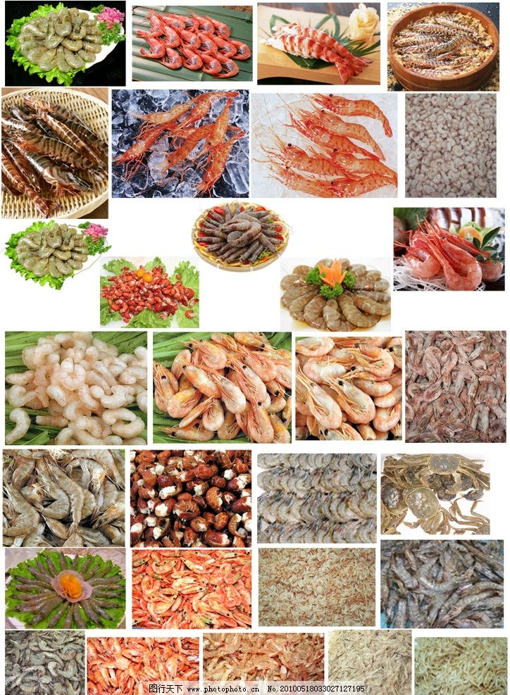 水产类 虾品总汇图片