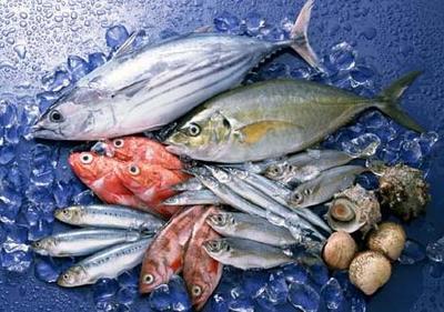 水产鱼养殖